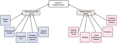 A Role for Serotonin in Modulating Opposing Drive and Brake Circuits of Impulsivity